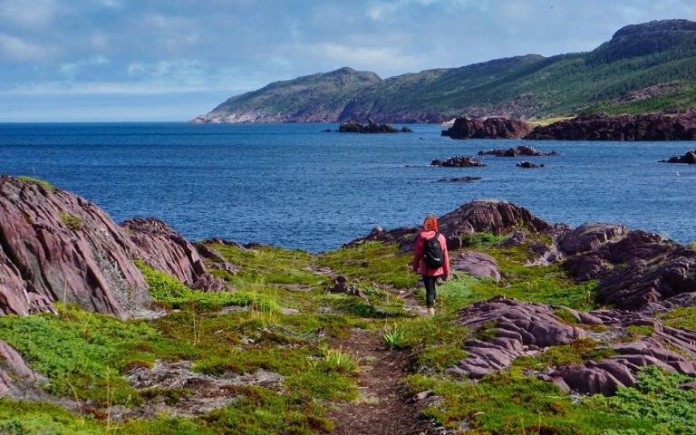 Tickle Cove